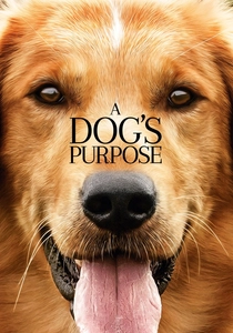 Bir Köpeğin Amacı (2017)