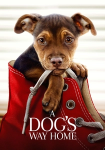 Köpek Adası (2019)