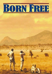 Vahşi Yaşamın İzinde (1966)