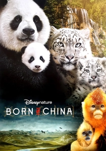 Pandaların İzinde (2016)