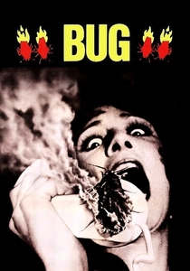 Devasa Hamam Böceği (1975)