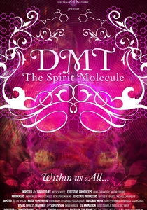 DMT: Ruhun Molekülü (2010)