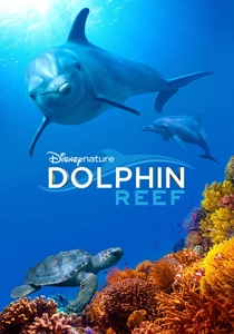 Dolphin Reef (2018)