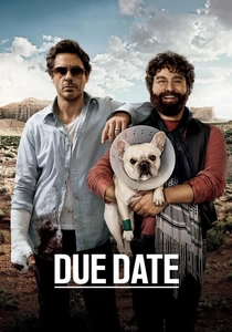 Çılgın İkili (2010)