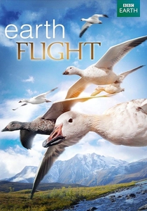 Yeryüzünde Bir Yolculuk (2011)