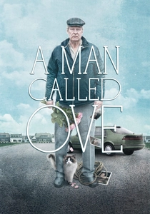 Yalnız Bir Adam (2015)