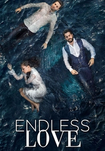 Endless Love (2015)