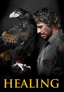 İyileşme (2014)