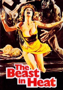 The SS Experiment (1977)