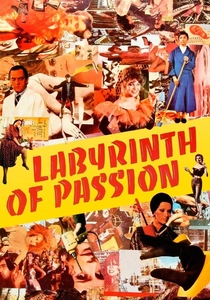The Labyrinth of Passion (1982)