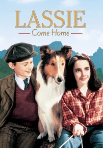 Benim Adım Lassie (1943)