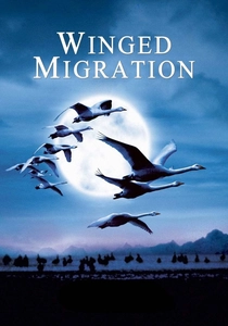 Kanatların Sesi (2001)