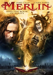 Büyücü Merlin ve Büyülü İksirler (2009)