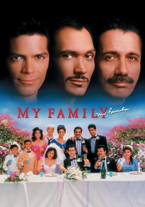 Bir Aile Hikayesi (1995)