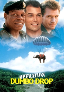 Askeri Operasyon (1995)
