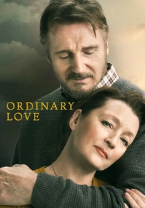 Aşkın Sıradan Hali (2019)