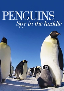 Penguins: Spy in the Huddle (2013)