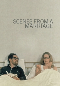 Bir Evlilikten Manzaralar (1973)