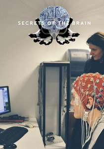 Beyin: İnsanın Sırları (2015)