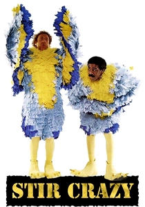 Hapishane (1980)