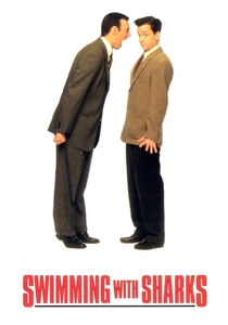 Senaristin İntikamı (1994)