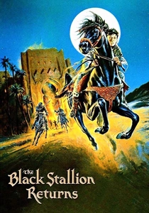 Vahşi Atlar ve Kızılderililer 2 (1983)