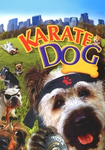 Karateci (2005)
