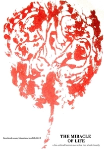 Aşkın Mucizesi (2013)
