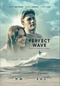 The Perfect Wave (2014)
