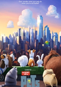 Koala'nın Sırrı (2016)