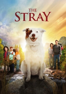 Köpeklerin İntikamı (2017)
