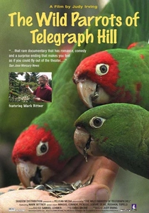 The Wild Parrots of Telegraph Hill (2003)