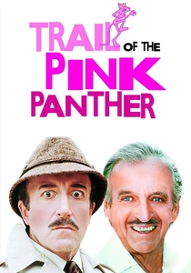 Panterin İzinde (1982)