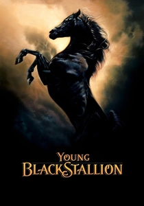 The Young Black Stallion (2003)