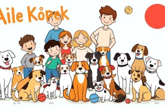 Aile Köpek Eğitim Filmleri Aile Köpek Eğitim Filmleri