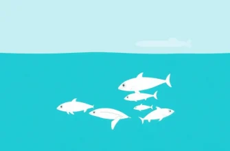 Deniz Ekolojisi Belgeselleri