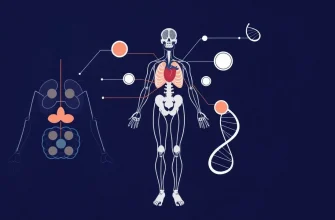 İnsan Anatomisi Hakkında Belgesel Filmler İnsan Anatomisi Hakkında Belgesel Filmler