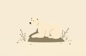 Ayılar Hakkında Belgesel Filmler