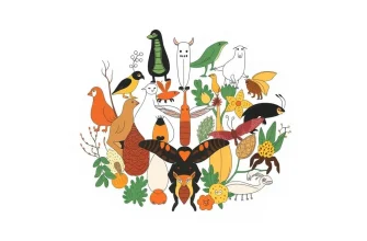 Biyolojik Türler Hakkında 10 Belgesel