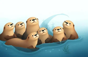 Deniz Domuzu Melodramları: Duygusal ve Dokunaklı Filmler